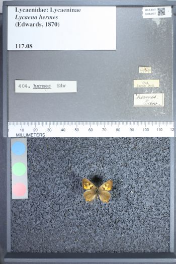Media type: image;   Entomology 64107